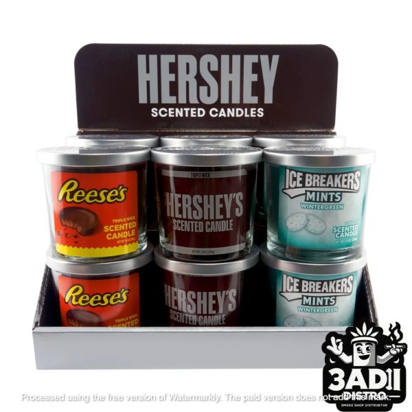 HersheysCandyEdition 01621 1 Sweet Tooth 14oz. Triple Wick Candles Counter Top Display *Fully Stocked w/ 9 Candles*