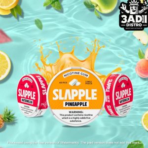 Slapple Nicotine Gum (40 Pieces Per Can) *Pack of 5*